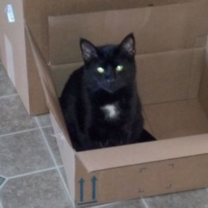 Meet your Posher, Joanne